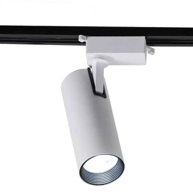 Track Light 5