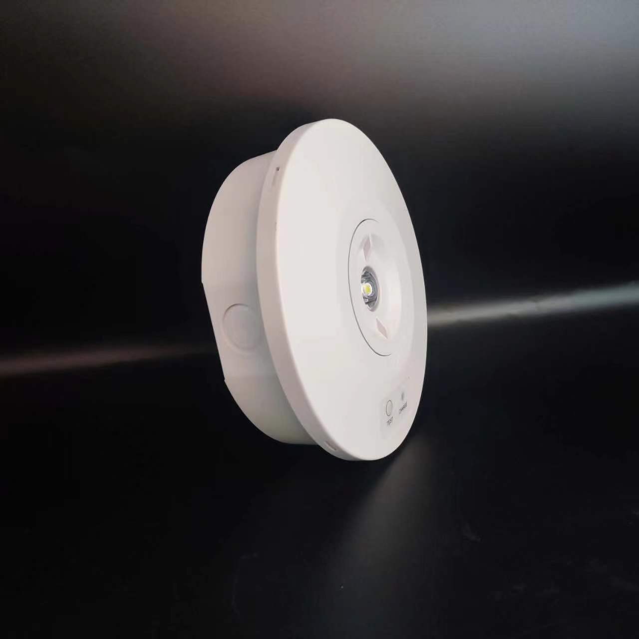 Europe/Australian Standard IP 65 Ceiling 3W Rechargeable Emergency Light Led Emergency Down Light