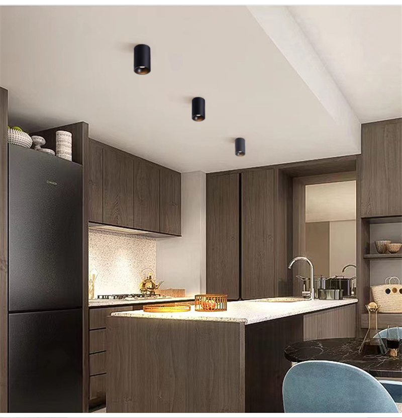 Anti-glare IP54 Waterproof Downlight