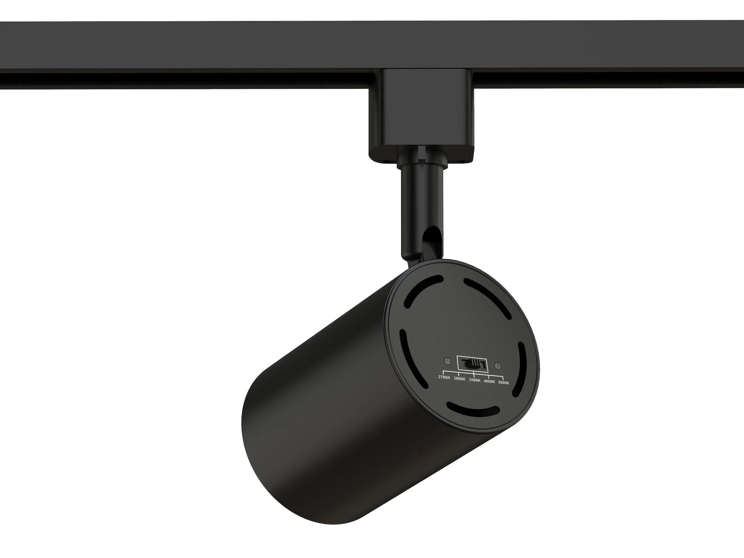 Track Light Options