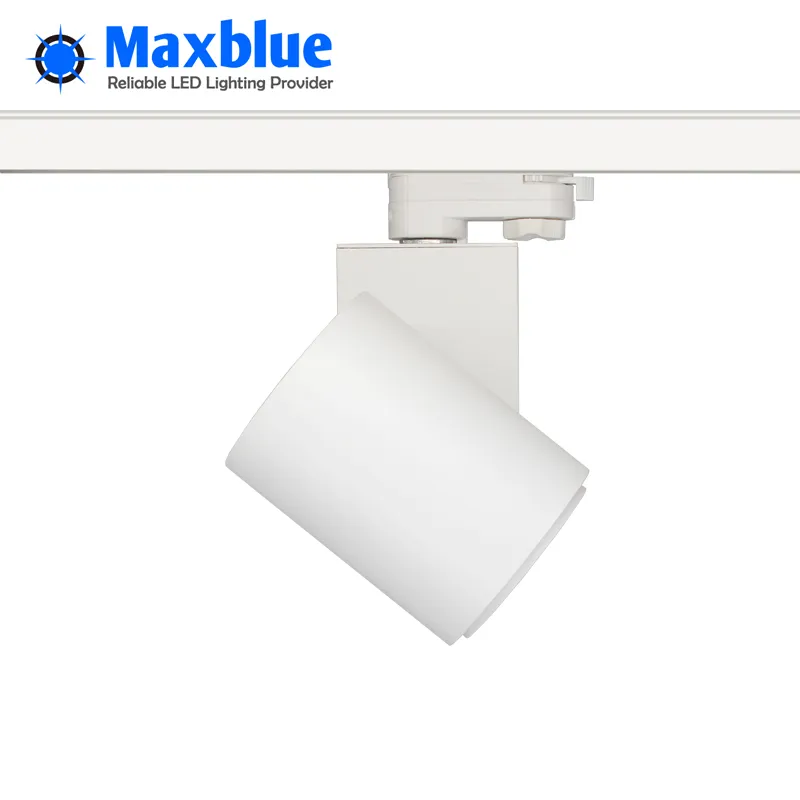 Track Light 3