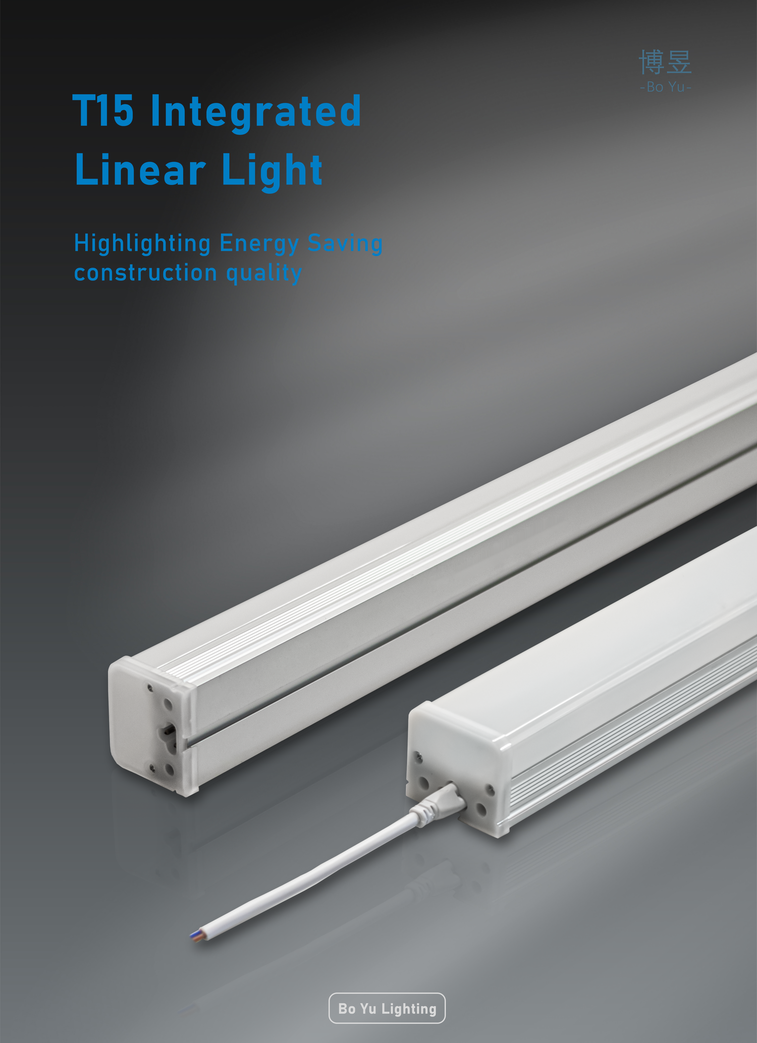 Product View 1