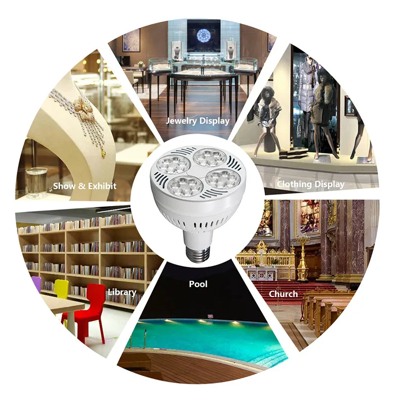 PAR30 LED Bulb Design