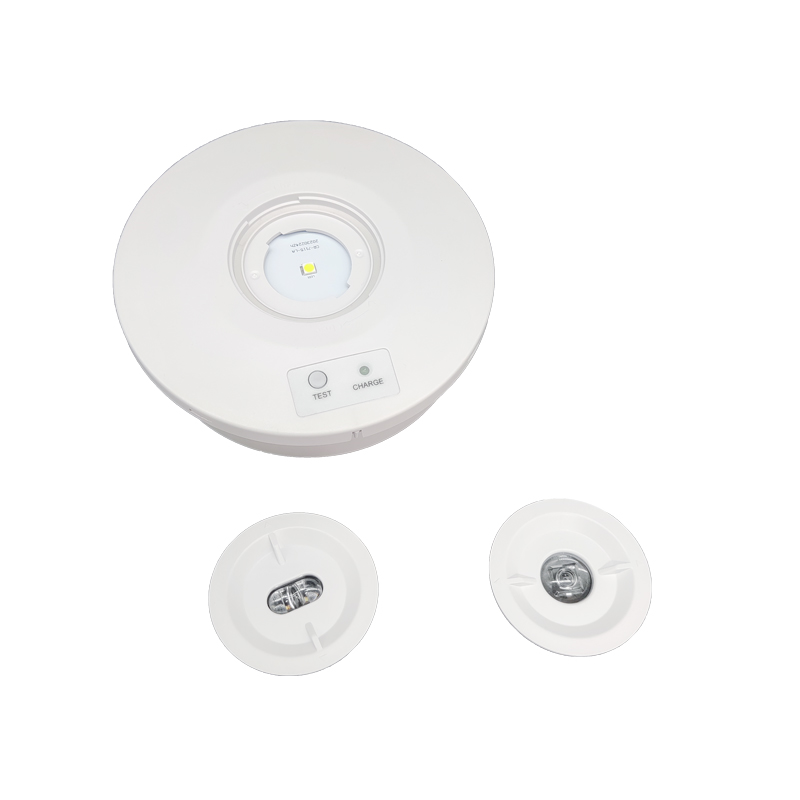 Europe/Australian Standard IP 65 Ceiling 3W Rechargeable Emergency Light Led Emergency Down Light