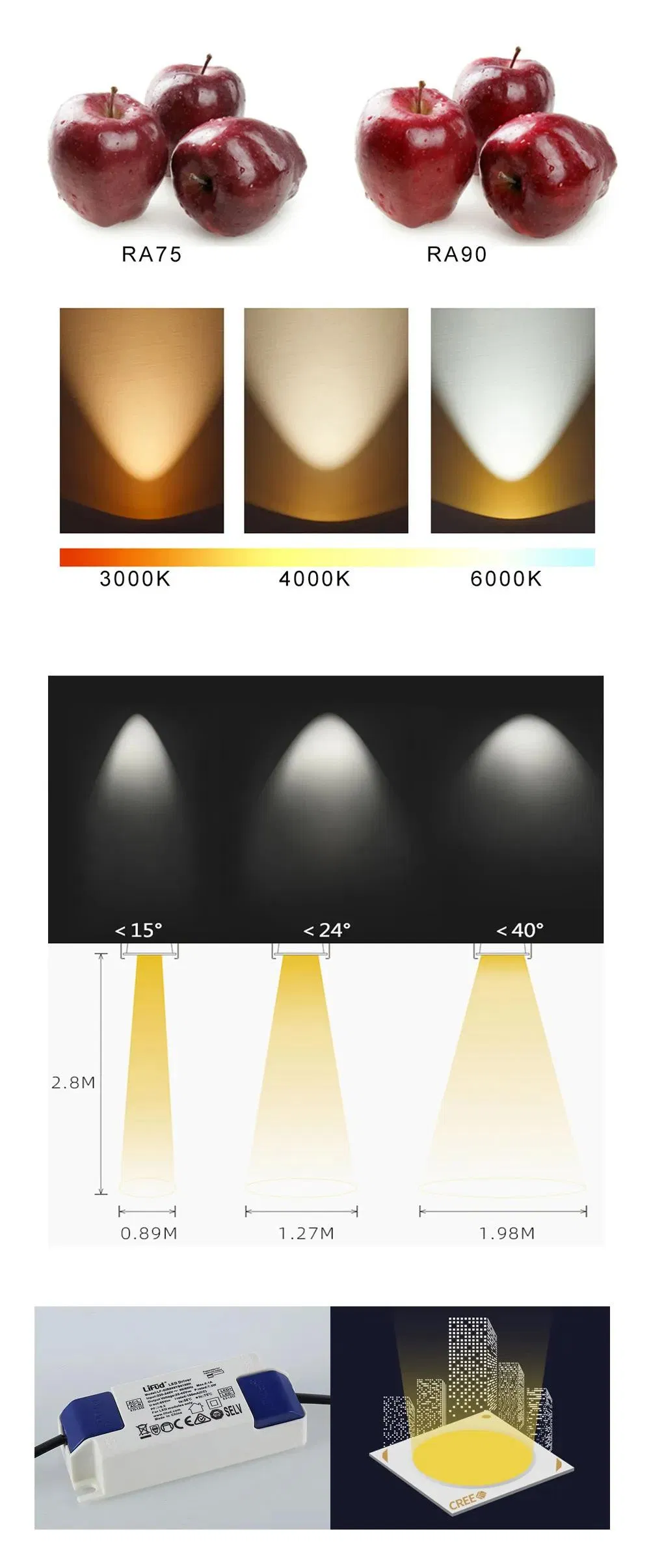 Down Light 1