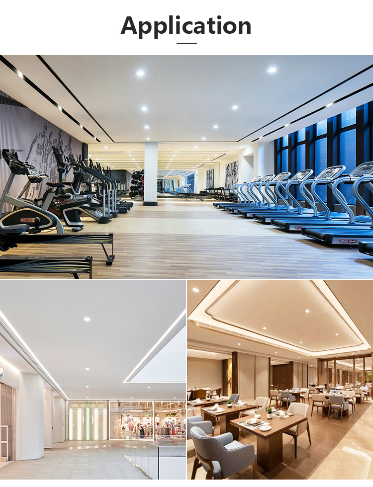 LED Downlight