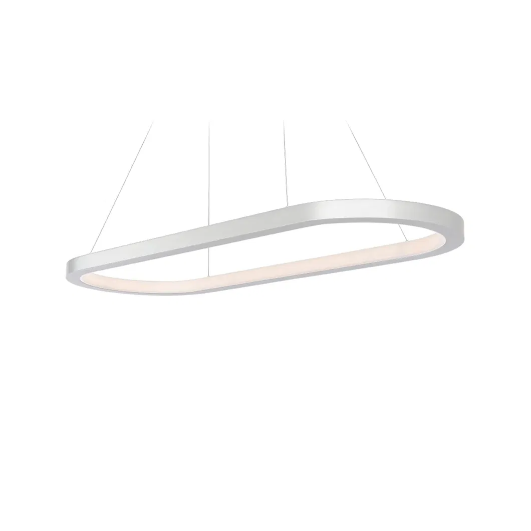 Minimalist Oval Ring Light 2