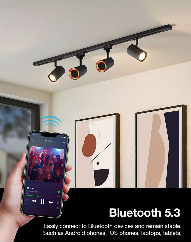 Smart Track Light System Detail 13