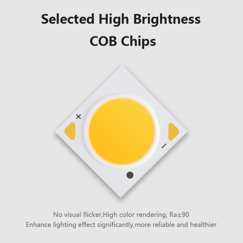 No Main Light Design High CRI High Brightness 8-25W 85-265V 15-50 Degree Beam Angle LED COB Spotlight