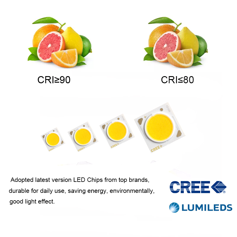 Track Light Product View 2