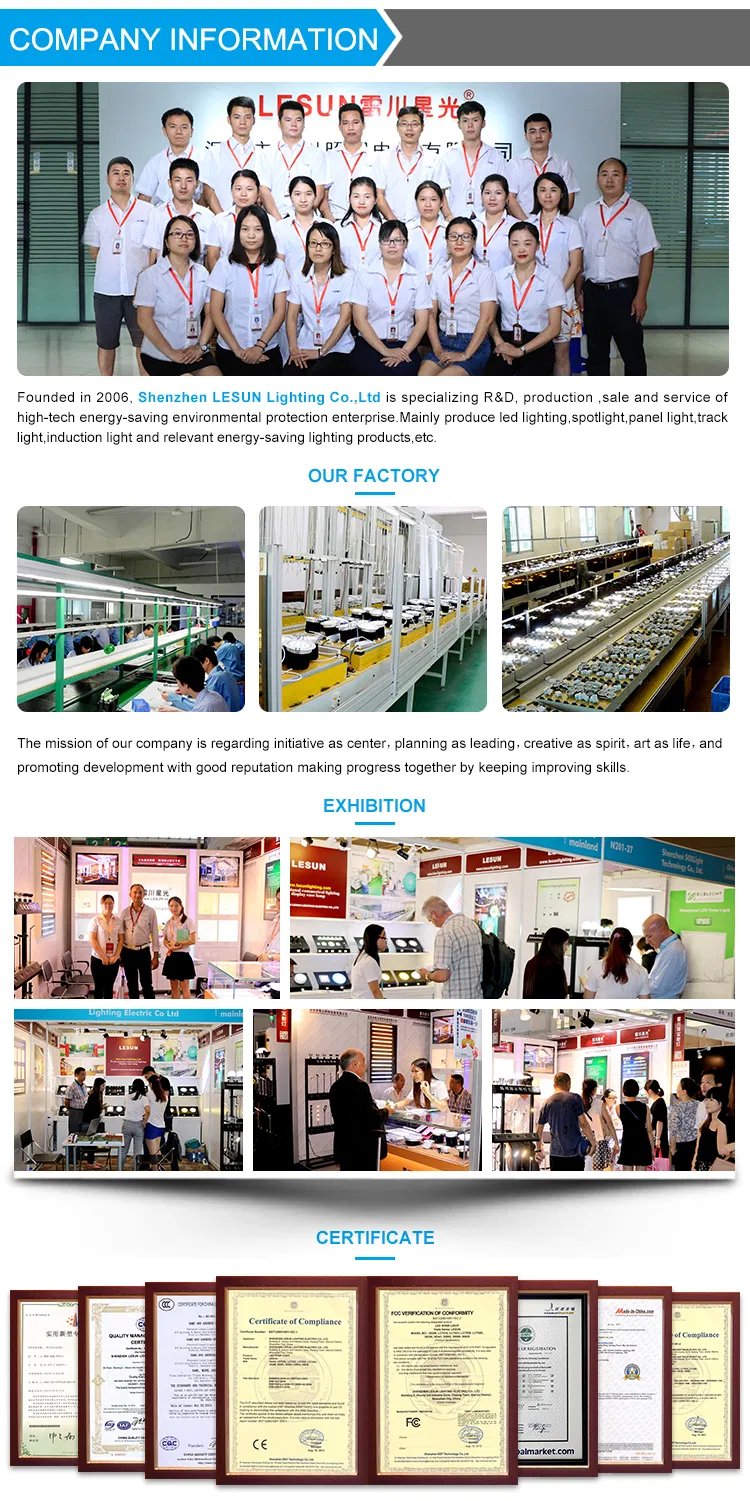 Modern Adjustable Angle 12W 15W 18W LED COB Track Spotlight Factory