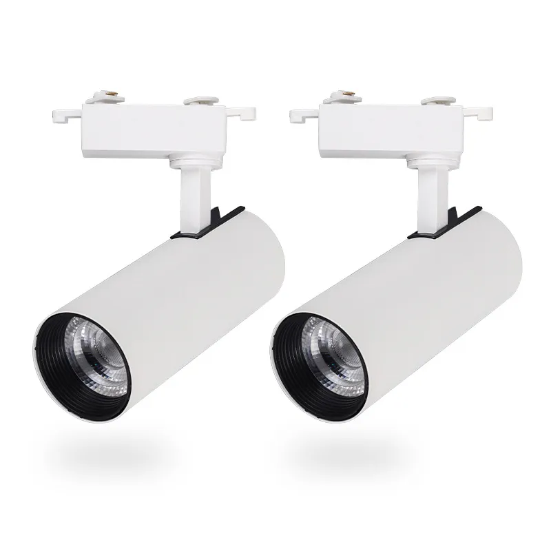 Track Light 1