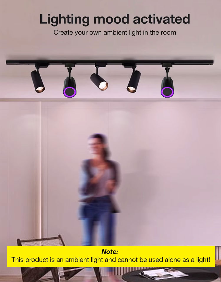 Smart Track Light System Detail 9