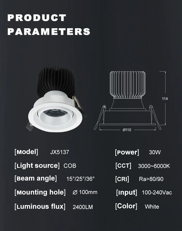 LED COB Frameless Ceiling Spotlight 30W High CRI Embedded Spot Light