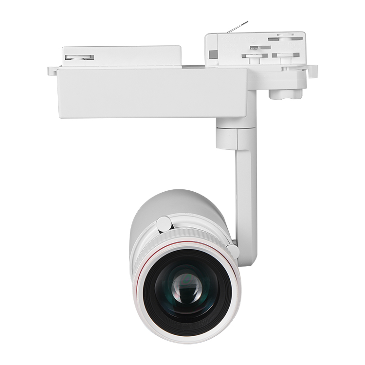Besun Track Light 30W COB SPOTLIGHT for MUSEUM ART GALLERY PAINTING LAMP with DALI and Other Smart Control