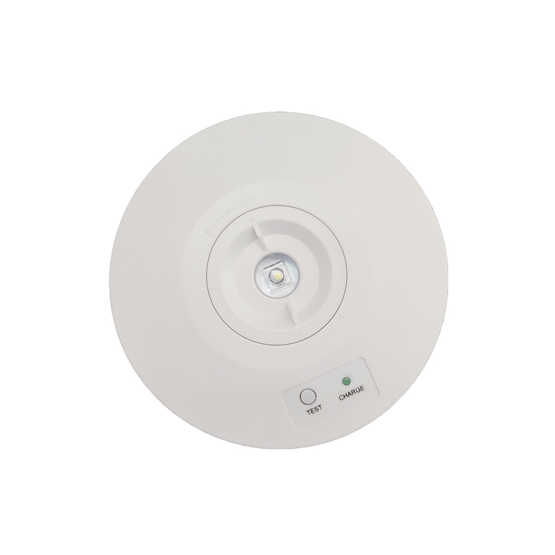 Europe/Australian Standard IP 65 Ceiling 3W Rechargeable Emergency Light Led Emergency Down Light