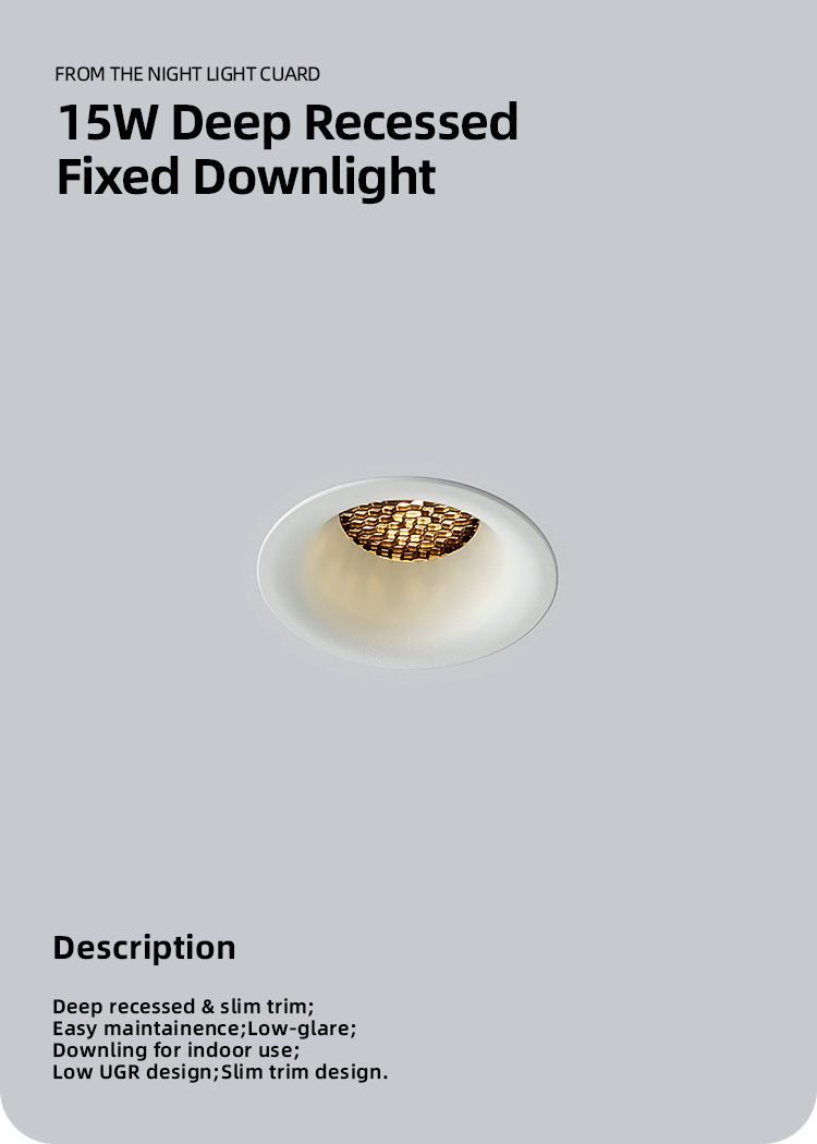 Led Downlight Image 1