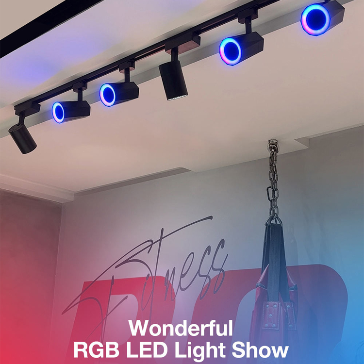 OEM Smart Track Light System with BT Speaker Music Sync RGB LED Rail Lighting for Hotel Retail Office GYM Projects