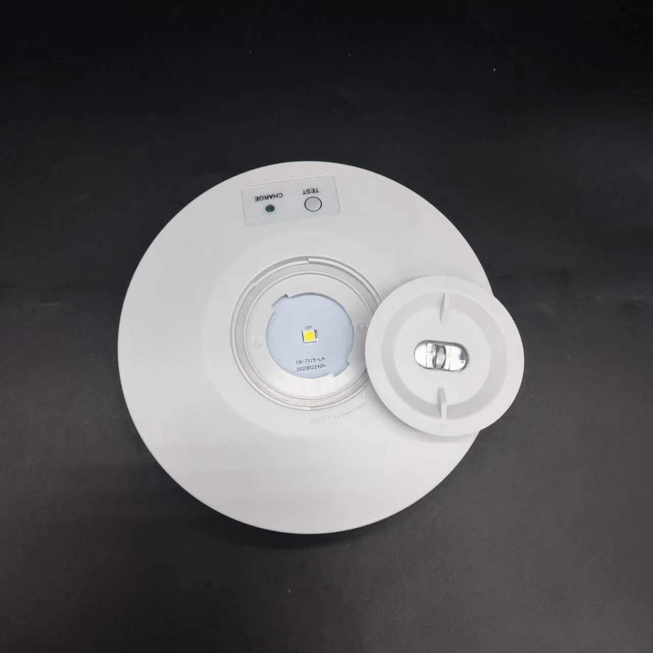 Europe/Australian Standard IP 65 Ceiling 3W Rechargeable Emergency Light Led Emergency Down Light