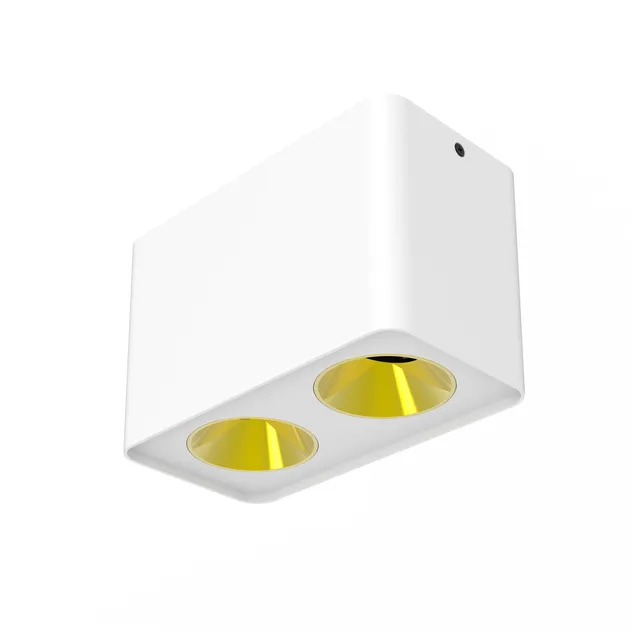 Downlight Ceiling Mounting