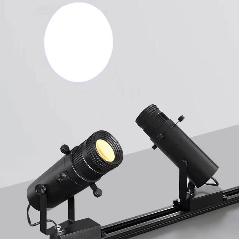 Professional 30W LED Museum Track Spotlight: Adjustable Precise Beam for Art