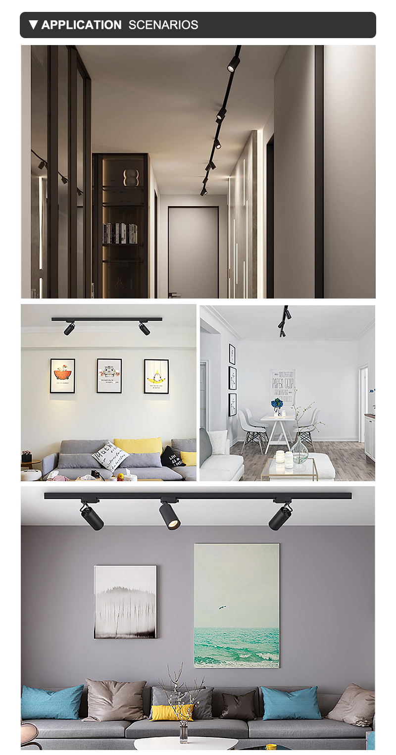 Product Layout 7