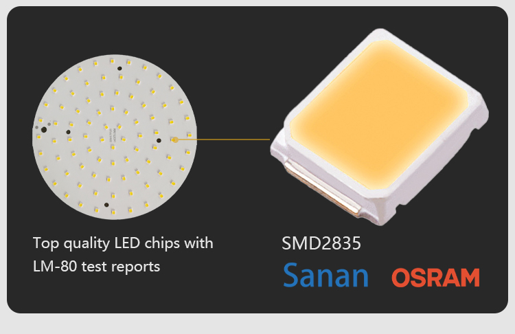 LED Downlight