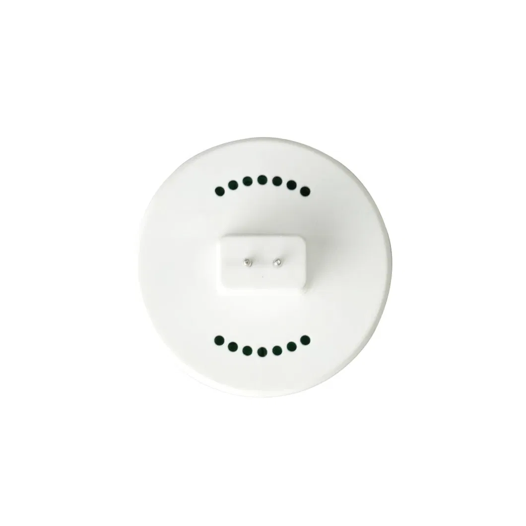 Product Detail 5