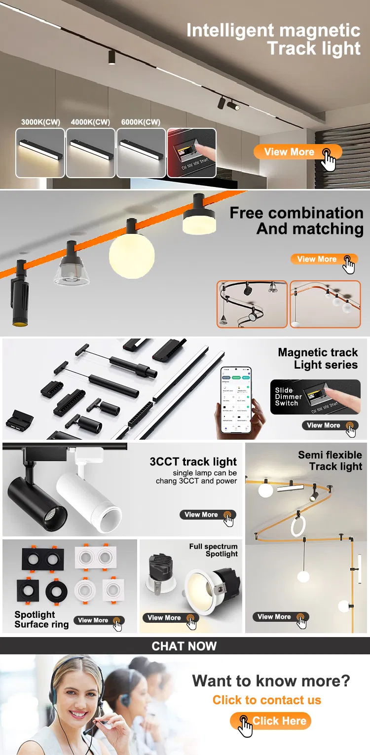 Aluminum Magnetic Track Light 48V Surface Recessed Pendant LED Spot Light High CRI 90 Magnetic Track Rail Lighting