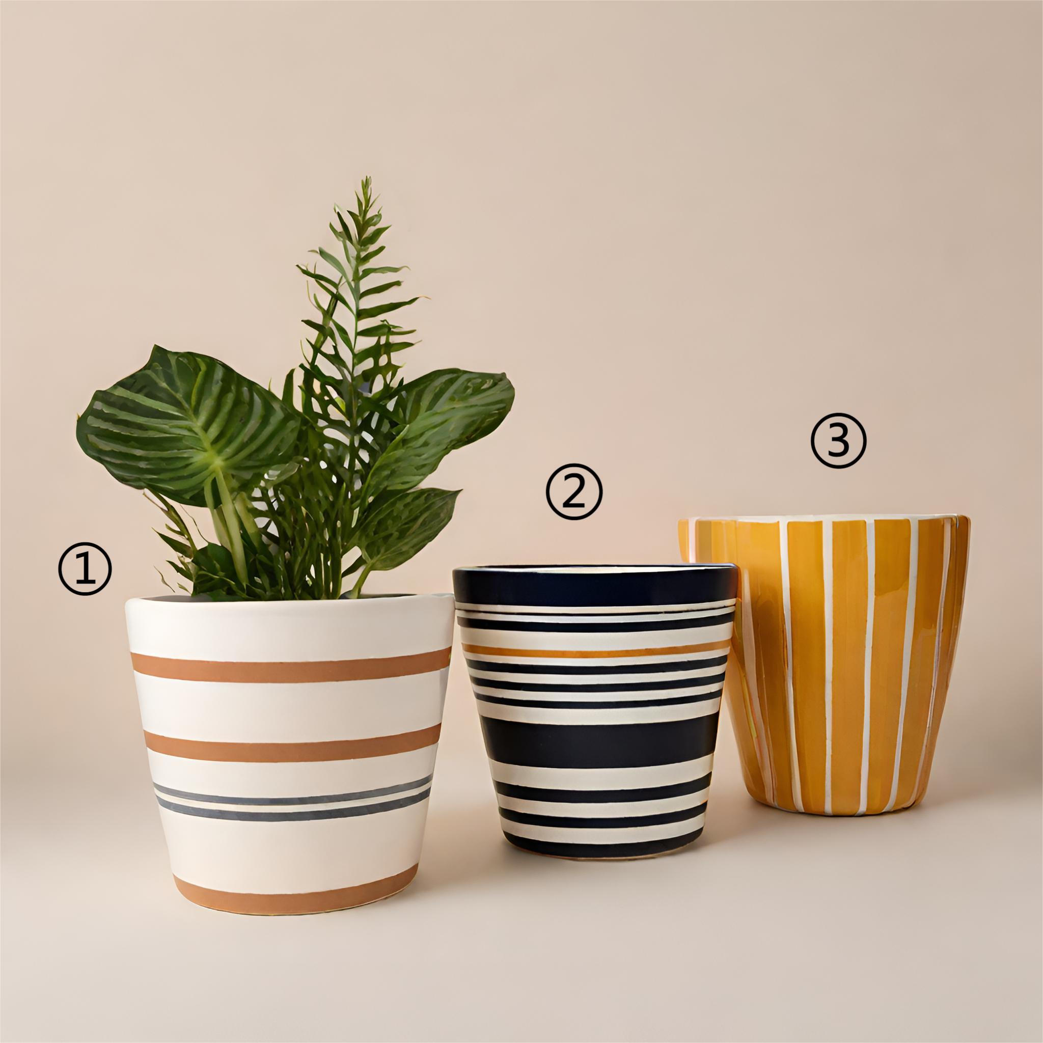 Cheap Colorful Stripe Ceramic Planters – Vibrant Indoor Decor Pots VDLK2403683 Factory, Factories