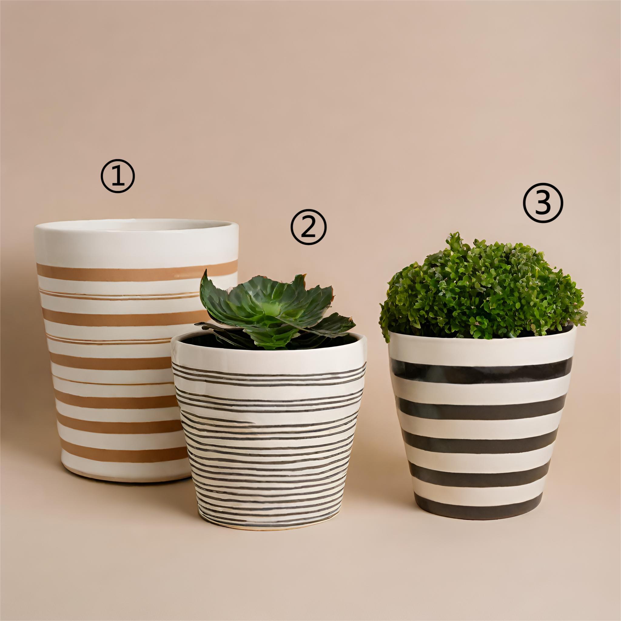 Wholesale Striped Ceramic Pots for Indoor Use – Customizable with Matte Finish VDLK2403689 Manufacturers, Supplier