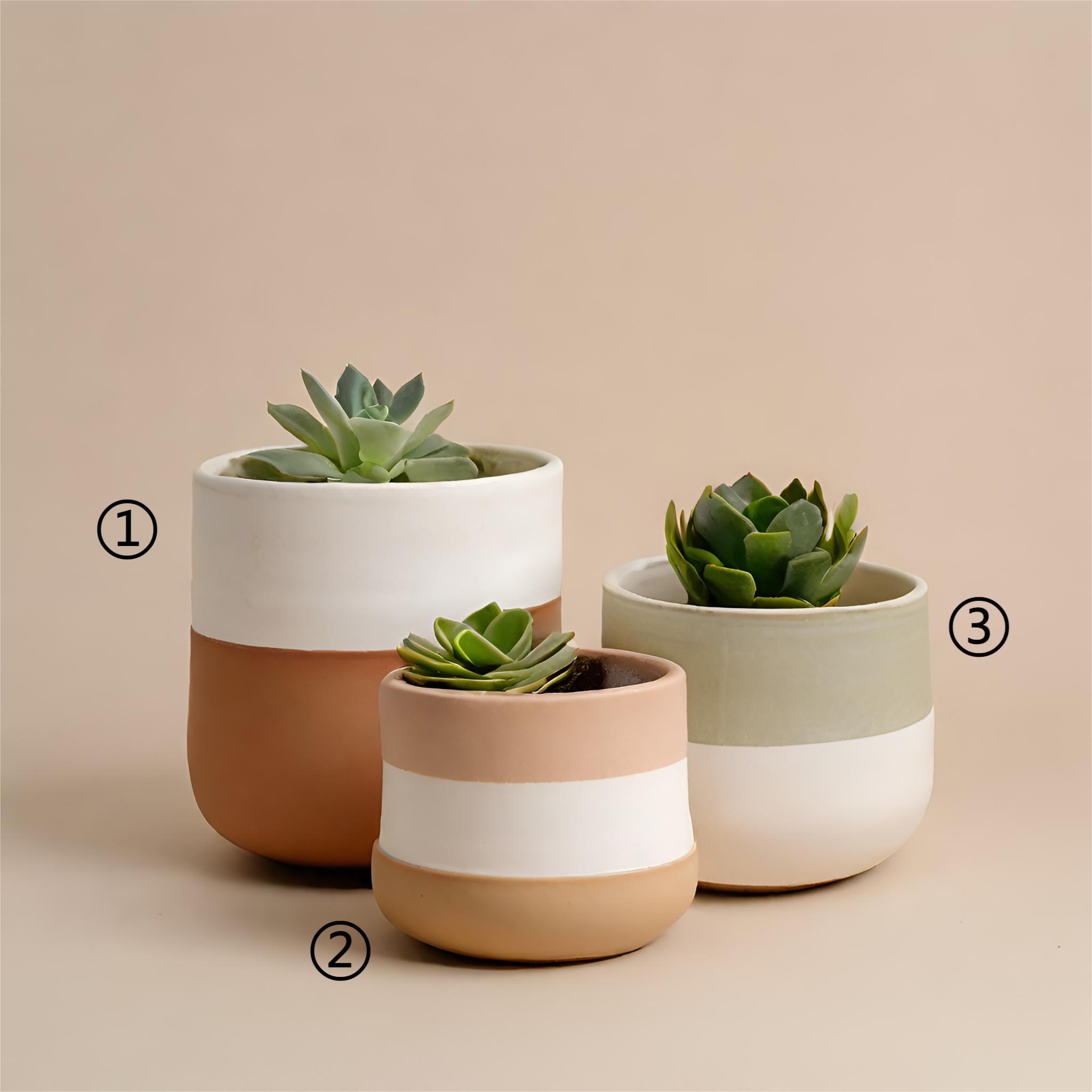 Cheap Multi-Color Overlapping Ceramic Pots – Stylish Indoor Planters VDLK2403878 Supplier, Factory