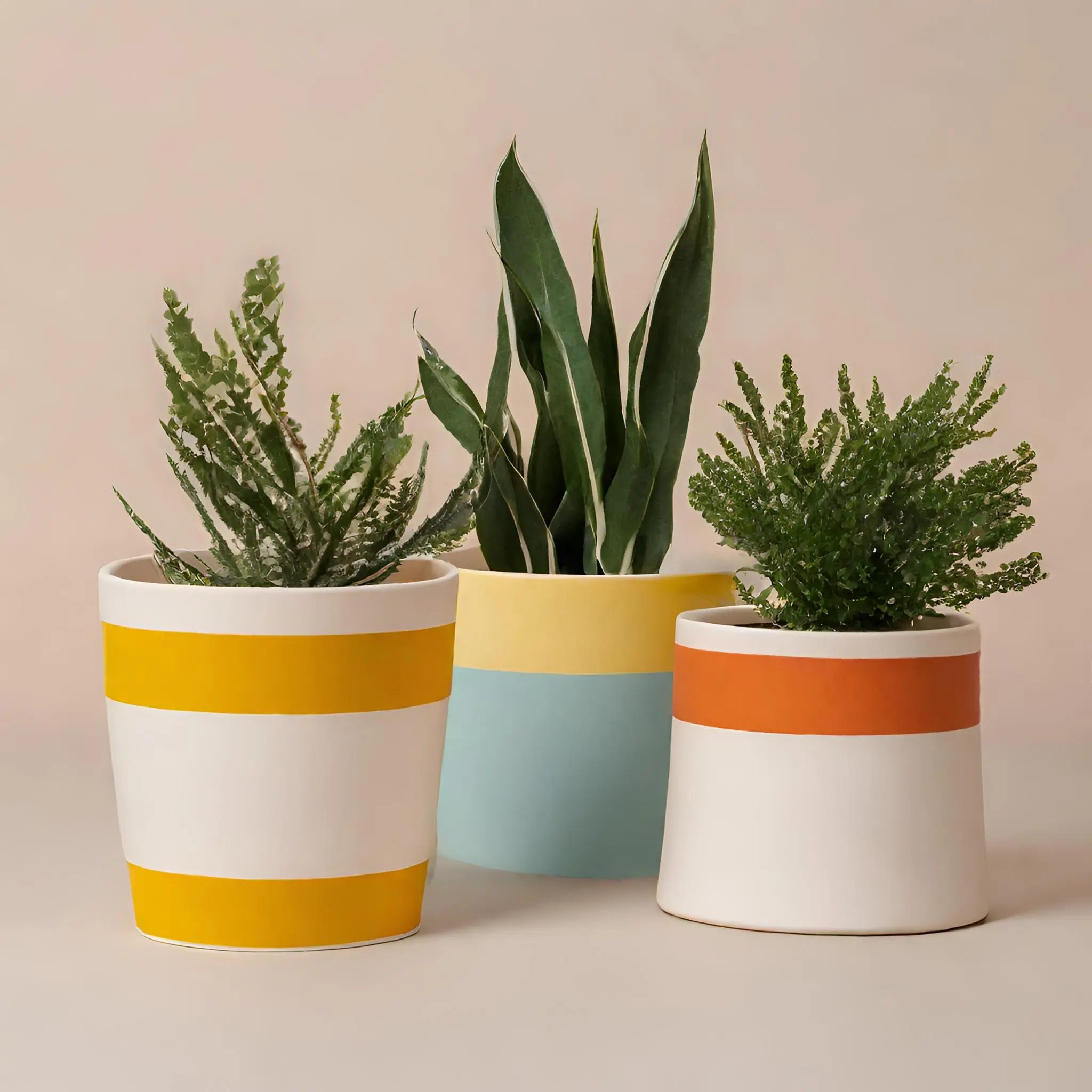 Premium stoneware pots showcasing expert ceramic engineering and durability standards.