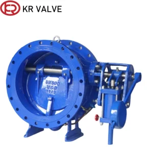 WCB slow closing check valve