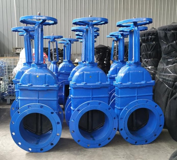 Resilient seat gate valve1