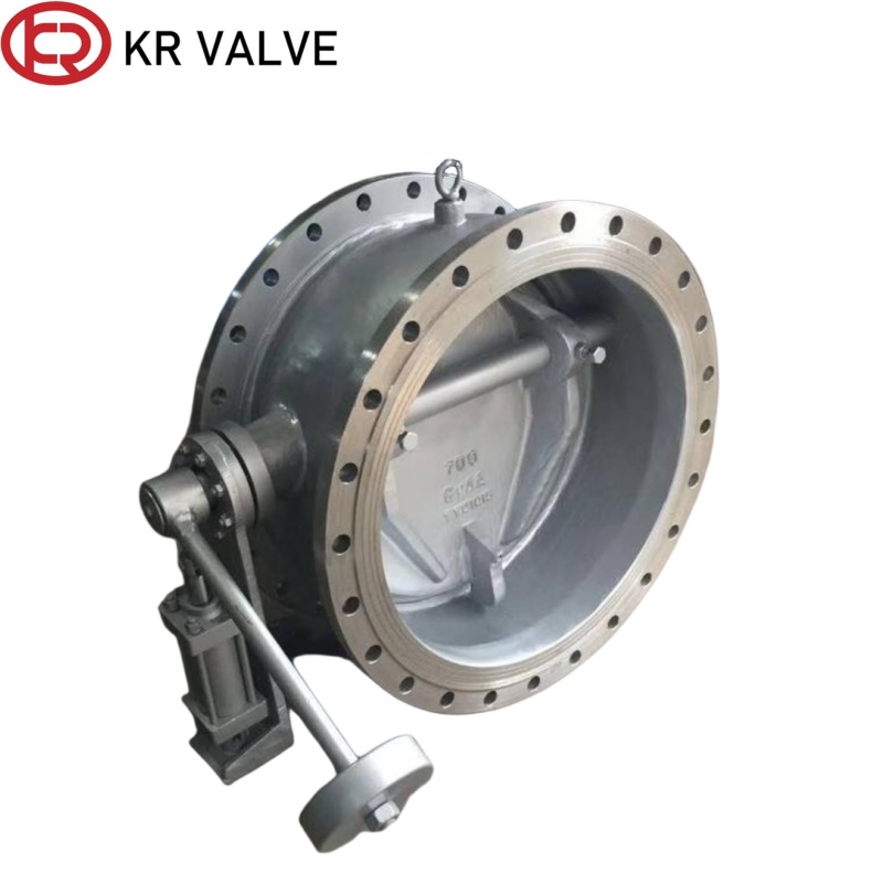 Wholesale SS CF8/CF8M micro-resistance slow closing check valve Suppliers, Manufacturers
