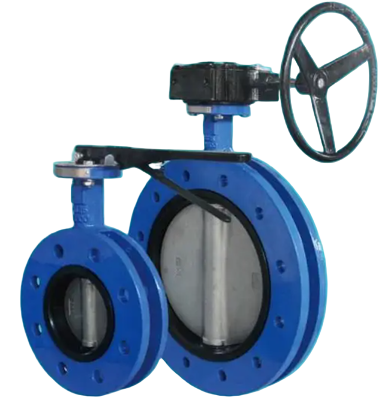 Concentric butterfly valve