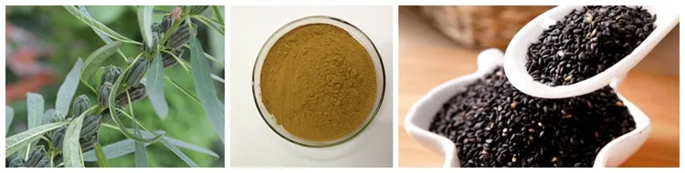 Sesame Seed Extract
