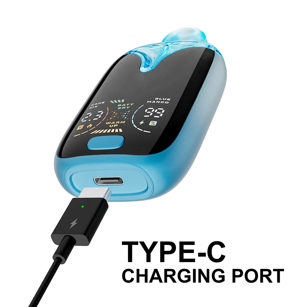 Charging Port