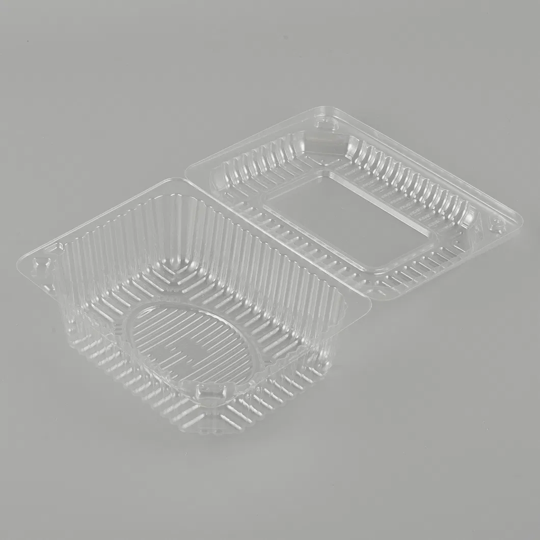 Disposable Packaging 1