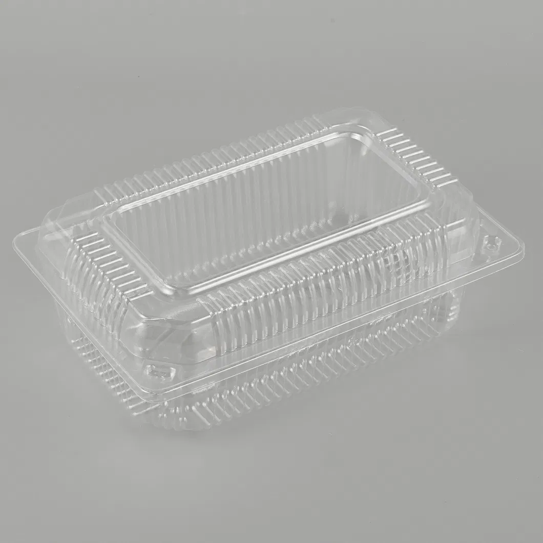 Disposable Packaging 6