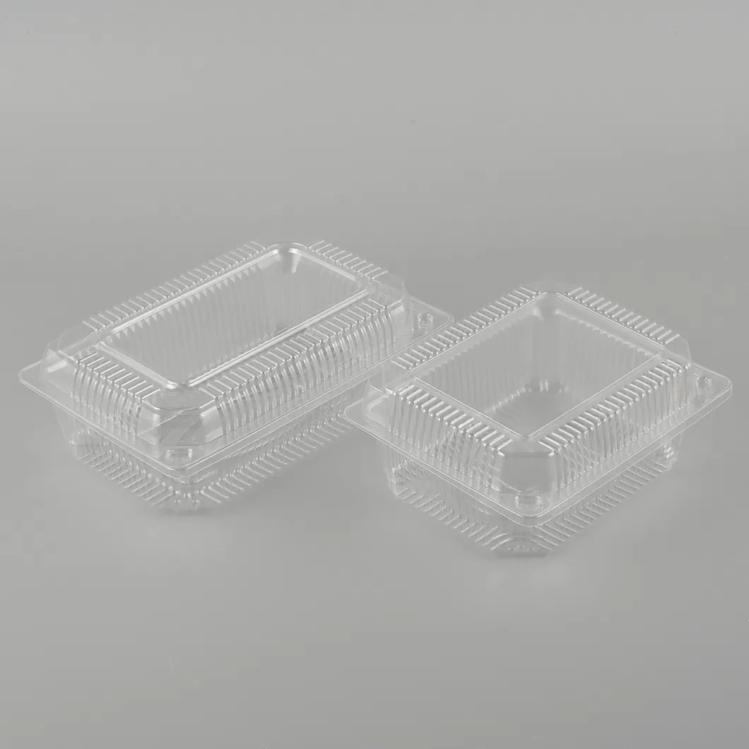 Disposable Packaging 7