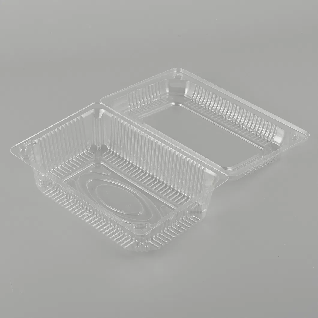 Disposable Packaging 5