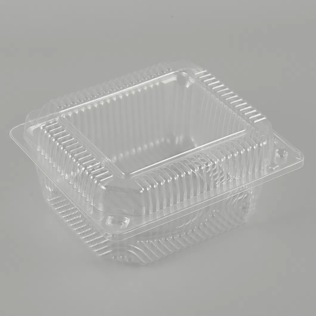 Disposable Packaging 3