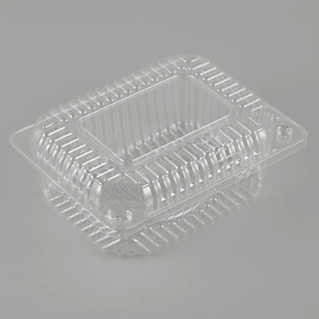 Disposable Packaging 2