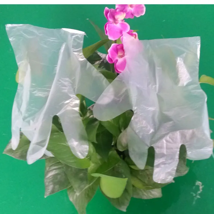 Disposable HDPE Gloves 2