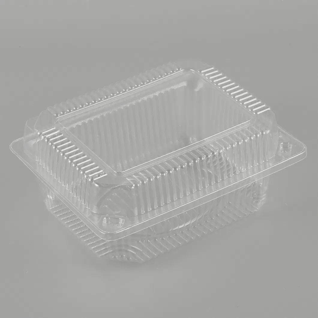 Disposable Packaging 4