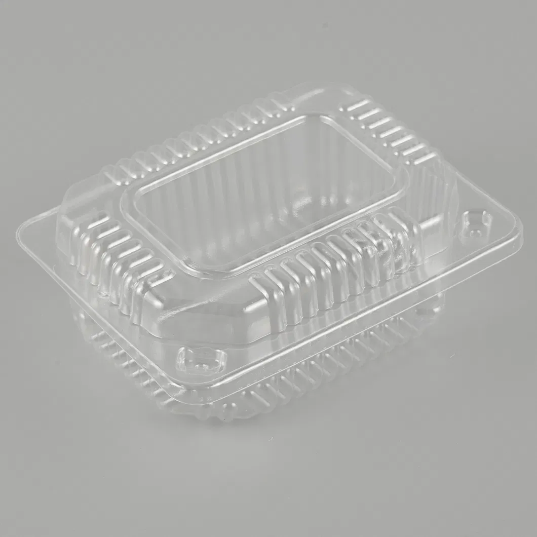 Disposable Packaging 8