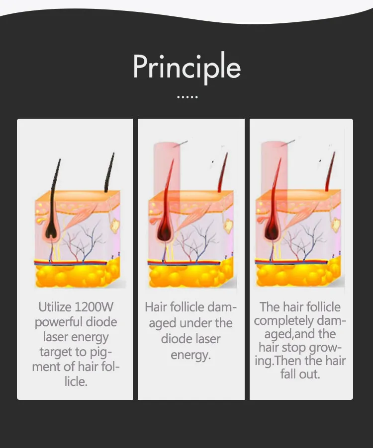 Working Principle Diagram