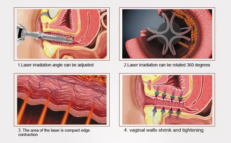Working Theory Diagram